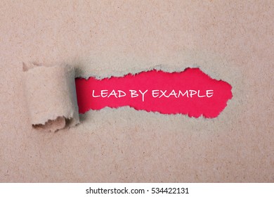 Lead by Example, Business Concept