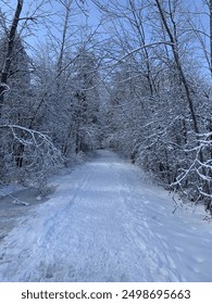 Lead down the snowy path
