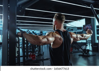 Upper Body Exercise: Over 2,763 Royalty-Free Licensable Stock