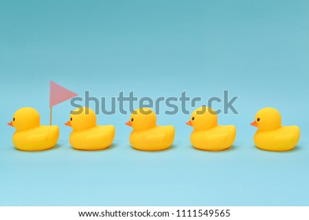 Leadership concept, rubber ducks following the leader