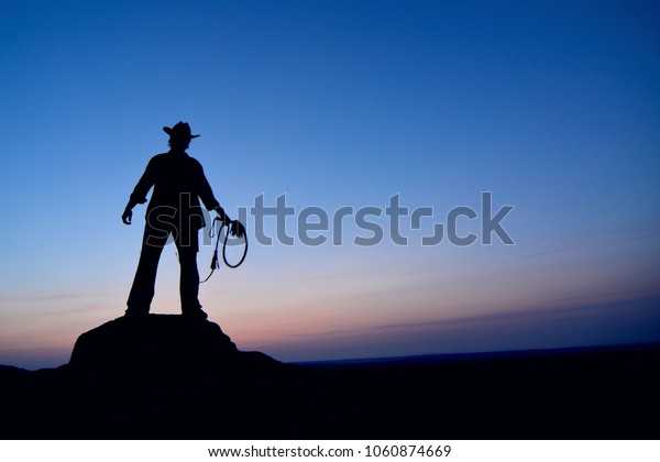 Leadership concept. Strong,\
brave man in cowboy hat standing on a rock with whip at sunset.\
Silhouette on blue colorful cloudy sky,  like western film\
background. 