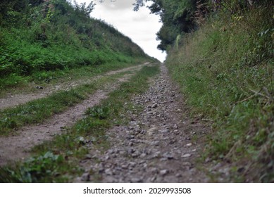 Leading Lines And Vanishing Point Of A Gravel Path