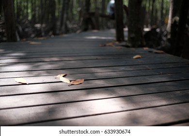 leaf