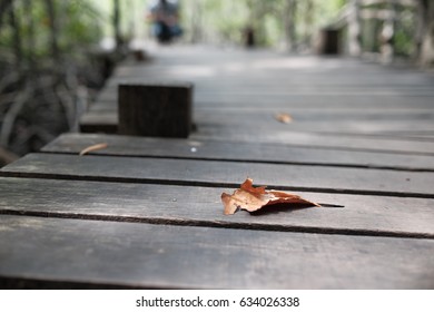 The leaf