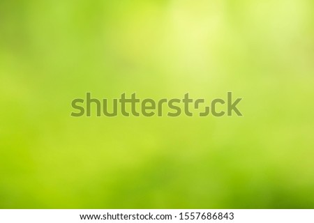 Leaf background on a green background
