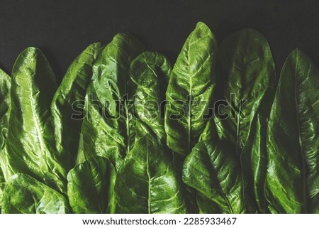 Leaf beat plant, perpetual spinach leaves on black rustic metal background, table top shot Foto d'archivio © 