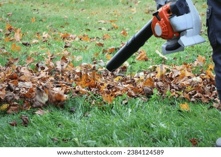 Leaf blower images set against the vibrant backdrop of autumn. These pictures capture the essence of fall cleanup, with leaves being effortlessly blown away. Ideal for projects celebrating the beauty