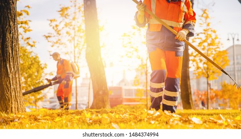 Leaf blower Male worker removes leaves lawn of garden autumn.
