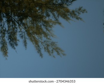 a leaf blown by the wind in the middle of the blue sky