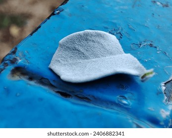 A leaf with blur background