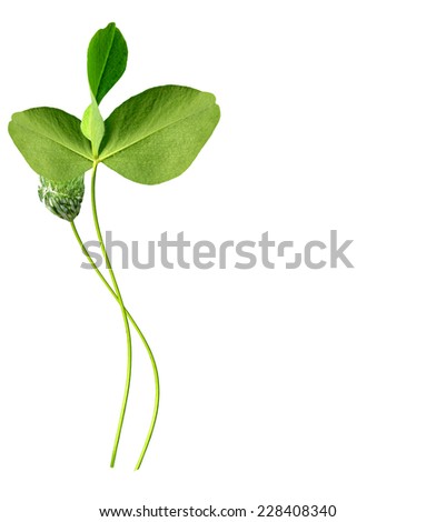 Similar – Image, Stock Photo Nature Plant Grass Leaf