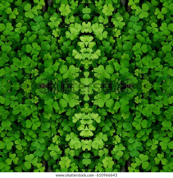 leaf clover wallpaper stock photo edit now 610966643 https www shutterstock com image photo leaf clover wallpaper 610966643