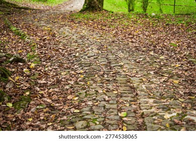 Leaf covered cobblestone path leading through a green botanical park.