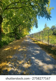 Leaf covered path in Fall