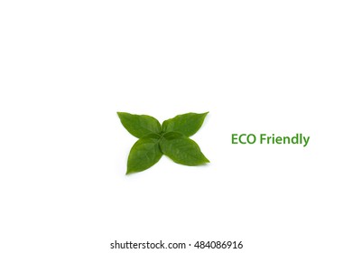 Leaf of eco friendly