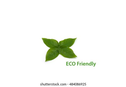 Leaf of eco friendly