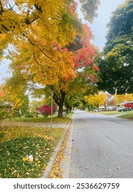 Leaf are falling, autumn is calling