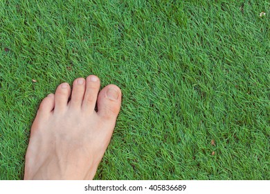 leaf foot on green grass background.