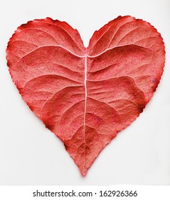 Leaf Heart