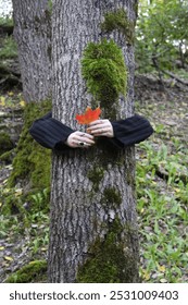 leaf holding in front of tree