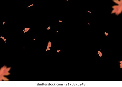 Leaf Isolated On Black Background For Art Design. Autumn Golden Falling Leaves. Use As A Photo Overlay
