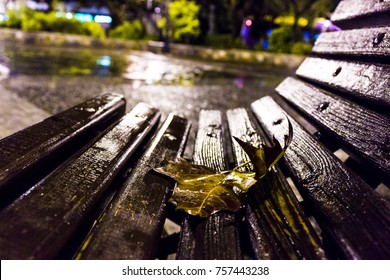 Leaf On A Bench