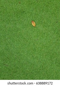 leaf on grass