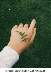 Leaf on hand in central java