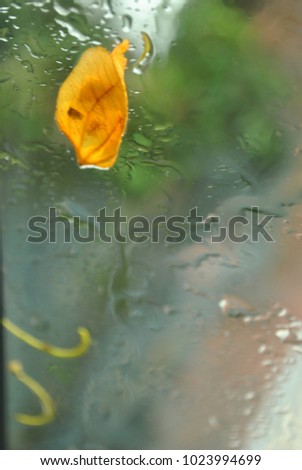 Image, Stock Photo spring rain Colour photo