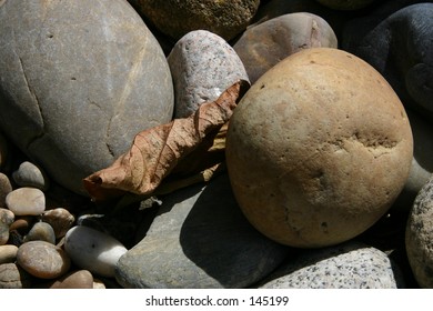 Leaf over rocks