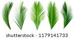 leaf palm, collection of green leaves pattern isolated on white background