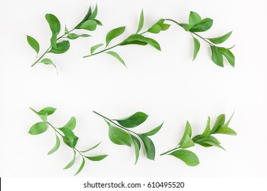 Leaf pattern. Frame made of green leaves on white background. Flat lay, top view, copy space
