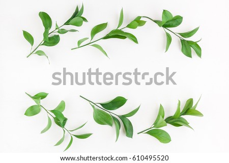 Leaf pattern. Frame made of green leaves on white background. Flat lay, top view, copy space