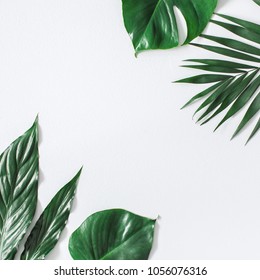 Leaf pattern. Green tropical leaves on gray background. Summer concept. Flat lay, top view, copy space, square