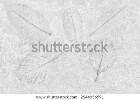 leaf print on concrete texture and background