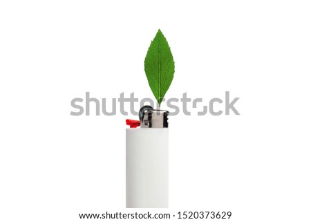 Leaf representing a flame on top of a lighter photomontage wallpaper 