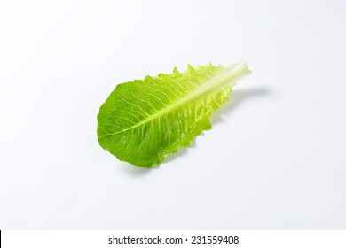 Leaf Of Romaine Lettuce On White Background