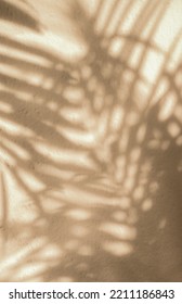 leaf shadow background with space for text