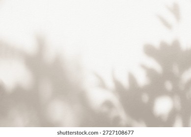 Sombra hojas y fondo