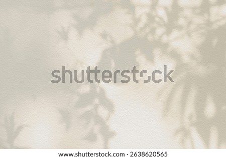 Leaf shadow and light beige background. Nature tropical leaves plant and tree branch shade with sunlight on wall texture for background wallpaper and design, shadow overlay effect