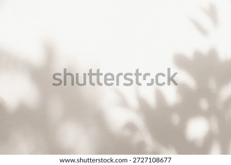 Leaf shadow and light beige background. Nature tropical leaves plant and tree branch shade with sunlight on wall texture for background wallpaper and design, shadow overlay effect