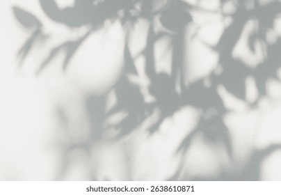 Leaf shadow and light grey background. Nature tropical leaves plant tree branch shade sunshine on wall. Sunlight on white wall texture for background wallpaper, shadows overlay effect foliage mockup