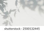 Leaf shadow and light on wall background. Nature tropical leaves tree branch and plant shade with sunlight from sunshine dappled on white wall texture for background wallpaper, shadow overlay effect
