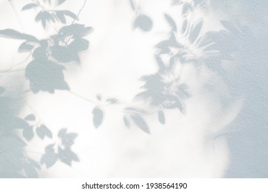 Leaf shadow and light on wall blur background. Nature tropical leaves tree branch shade with sunlight on white wall texture for background wallpaper and design - Shutterstock ID 1938564190
