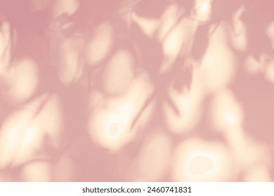 Leaf shadow and light on wall pink background. Nature tropical leaves tree branch and plant shade.Sunlight from sunshine on wall texture for foliage mockup background wallpaper, shadow overlay effect