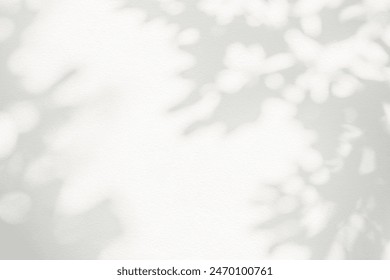 Leaf shadow and light on wall background. Nature tropical leaves tree branch and plant shade with sunlight from sunshine dappled on white wall texture for background wallpaper, shadow overlay effect
