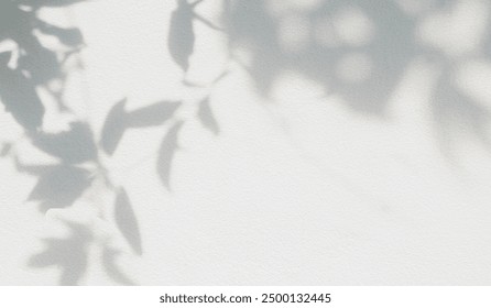 Leaf shadow and light on wall background. Nature tropical leaves tree branch and plant shade with sunlight from sunshine dappled on white wall texture for background wallpaper, shadow overlay effect
