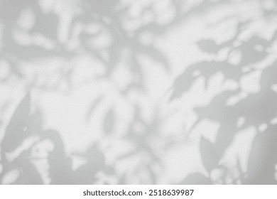 Leaf shadow and light on wall blur background. Nature tropical leaves plant tree branch shade sunshine . Sunlight on white wall texture for background wallpaper, shadows overlay effect foliage mockup