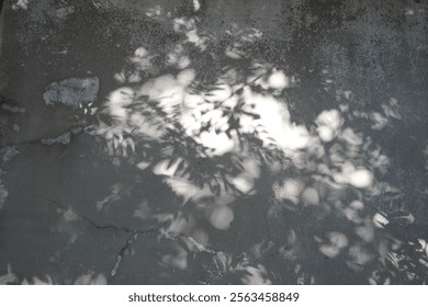 Leaf shadow and light on wall background. Nature tropical leaves tree branch and plant shade with sunlight from sunshine dappled on wall texture