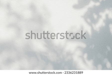 Leaf shadow and light on wall blur background. Nature tropical leaves tree branch plant shade sunlight on white wall texture shadow overlay effect foliage mockup, graphic layout, wallpaper, design